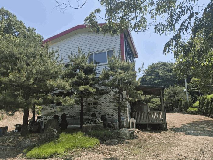 경기도 파주시 적성면 장현리 산59 임야 경매 사진 11