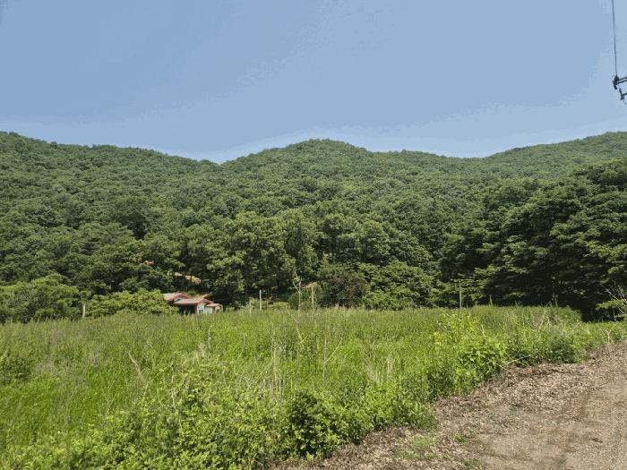 경기도 파주시 적성면 장현리 산59 임야 경매 사진 13
