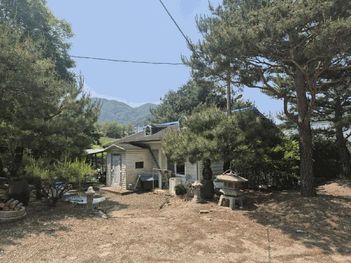 경기도 파주시 적성면 장현리 산59 임야 경매 사진 16