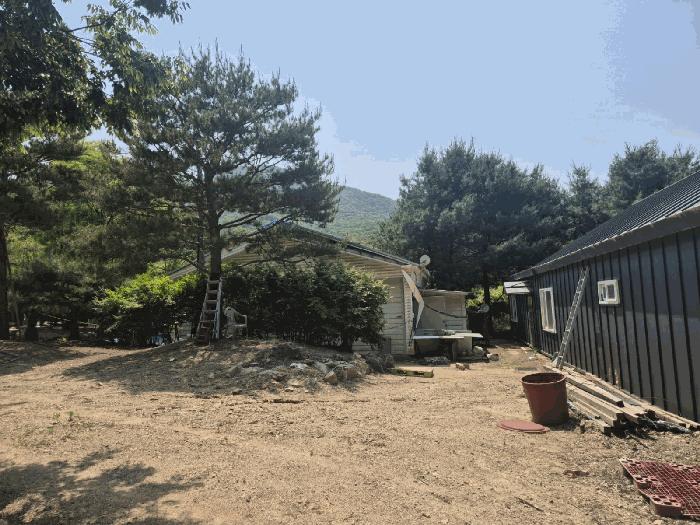 경기도 파주시 적성면 장현리 산59 임야 경매 사진 5