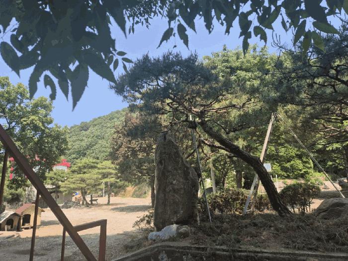 경기도 파주시 적성면 장현리 산59 임야 경매 사진 7