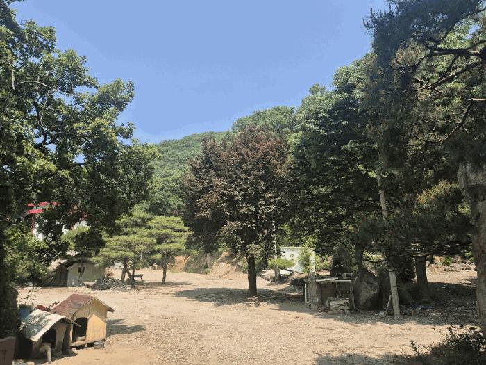 경기도 파주시 적성면 장현리 산59 임야 경매 사진 9
