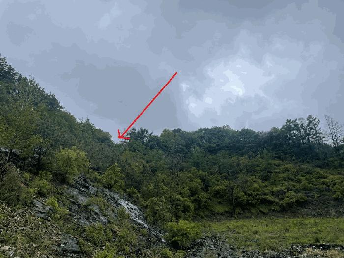 충청남도 금산군 복수면 수영리 1-2 전 경매 사진 2