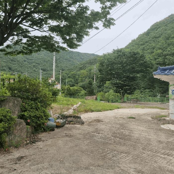 경상북도 칠곡군 북삼읍 숭오리 1387-4 전 경매 사진 5