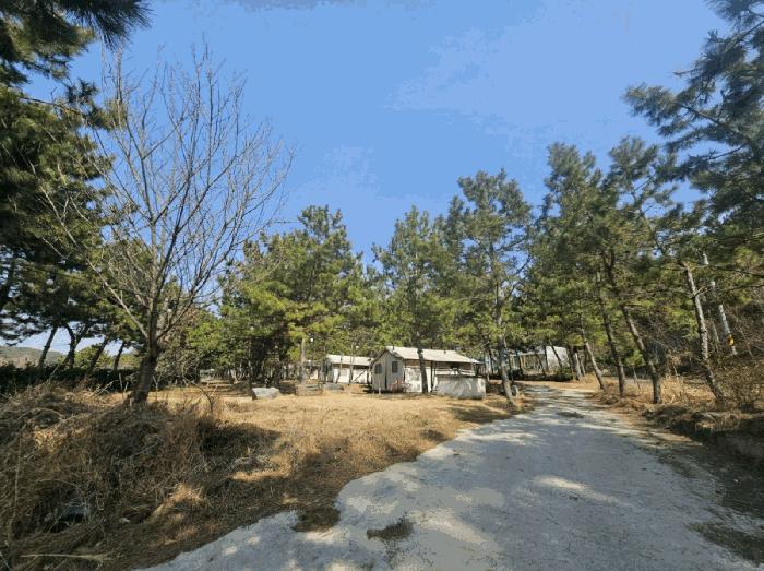 충청남도 서천군 펜션(캠핑장)