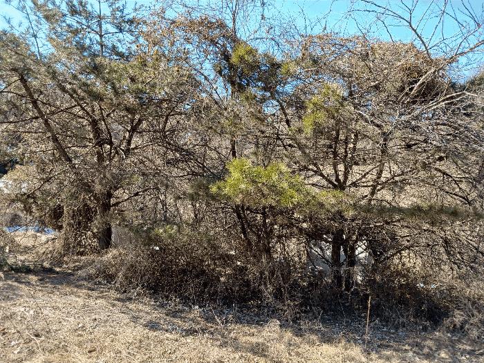 경기도 평택시 청북읍 후사리 179-5 창고용지 경매 사진 33