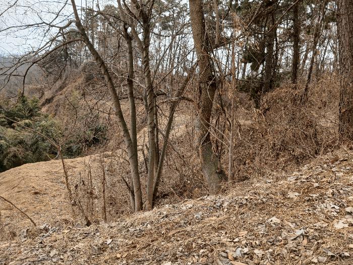 경기도 평택시 청북읍 후사리 179-5 창고용지 경매 사진 54