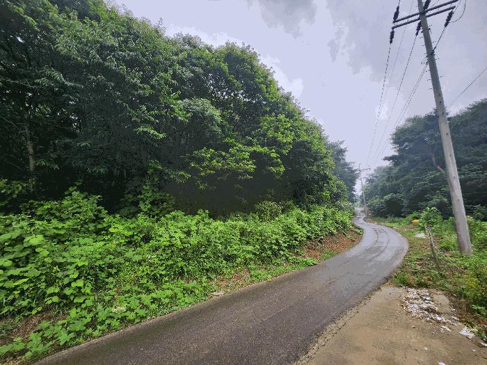 충청남도 보령시 천북면 장은리 산70-7 임야 경매 사진 1