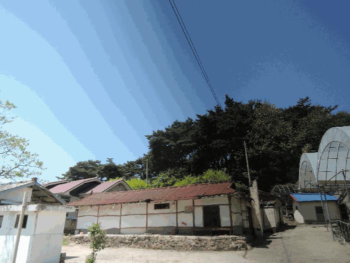 충청남도 홍성군 홍북읍 노은리 산5-1 임야 경매 사진 1