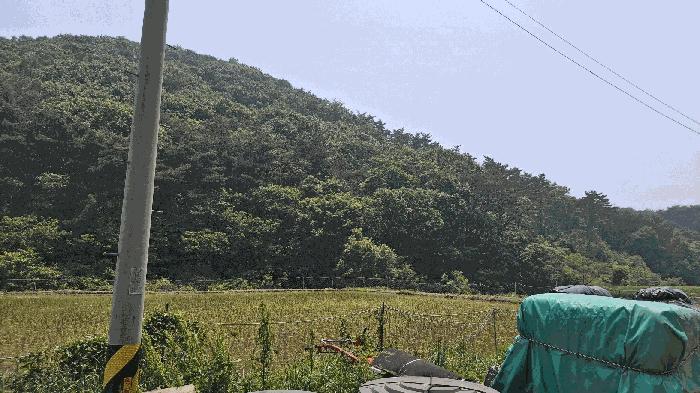 충청남도 보령시 임야