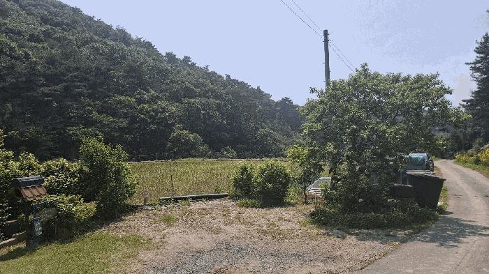 충청남도 보령시 오천면 영보리 산21-48 임야 경매 사진 4
