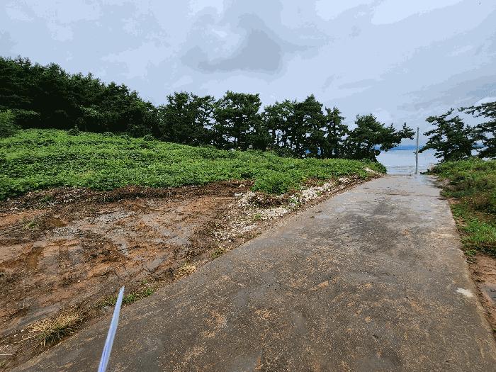 충청남도 보령시 임야