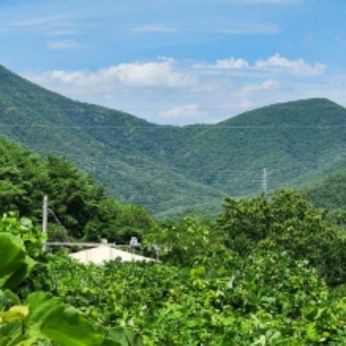 울산광역시 울주군 범서읍 척과리 220 전 경매 사진 8