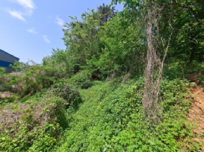 충청남도 당진시 송악읍 월곡리 253-5 창고 경매 사진 25