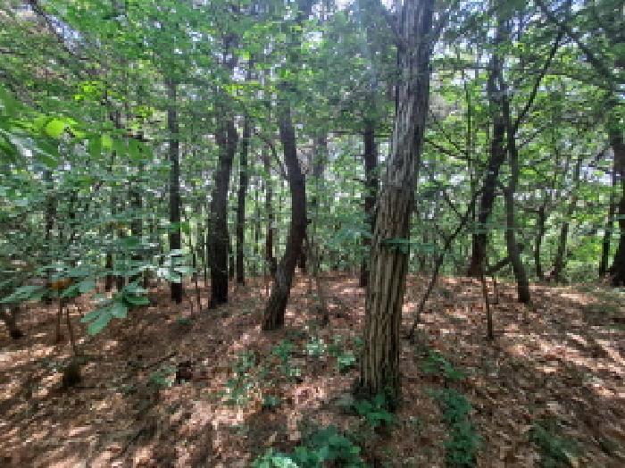 충청남도 당진시 송악읍 월곡리 253-5 창고 경매 사진 29