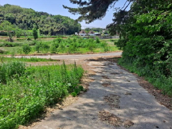 충청남도 당진시 송악읍 월곡리 253-5 창고 경매 사진 33