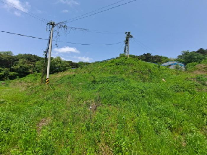 충청남도 당진시 송악읍 월곡리 253-5 창고 경매 사진 35