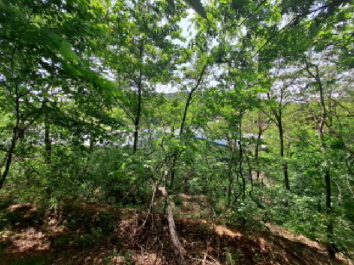 충청남도 당진시 송악읍 월곡리 253-5 창고 경매 사진 45