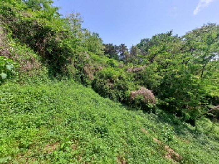 충청남도 당진시 송악읍 월곡리 253-5 창고 경매 사진 46