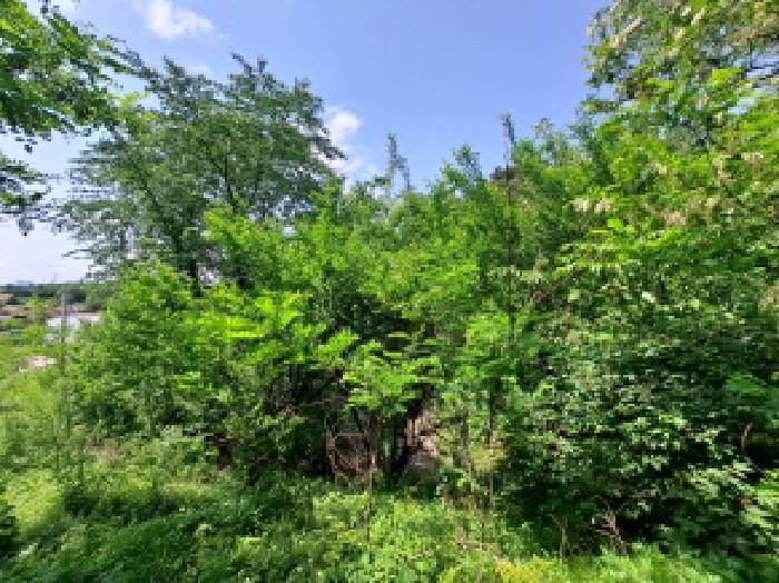충청남도 당진시 송악읍 월곡리 253-5 창고 경매 사진 58