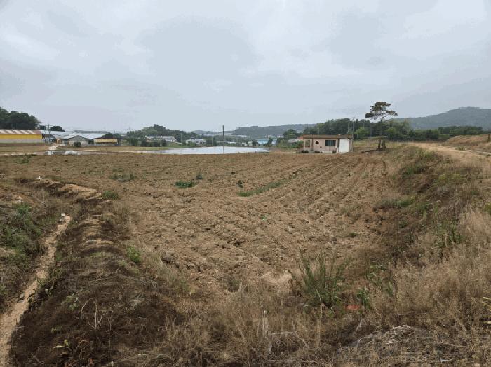 충청남도 당진시 합덕읍 소소리 1-28 전 경매 사진 1