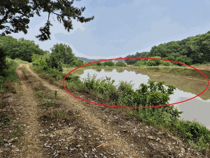 충청남도 당진시 송악읍 중흥리 884-7 주택 경매 사진 3