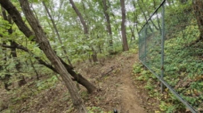 경기도 과천시 갈현동 산126-2 임야 경매 사진 31