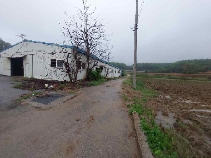 충청남도 아산시 염치읍 석두리 209-1 공장 경매 사진 35
