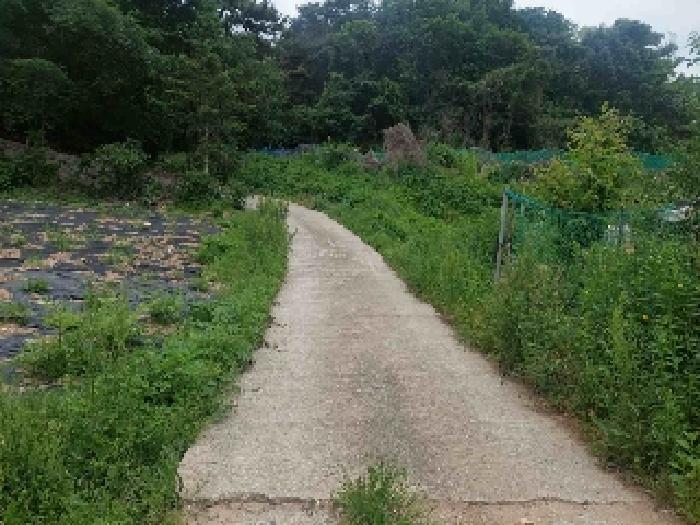 충청남도 아산시 탕정면 명암리 401 전 경매 사진 11