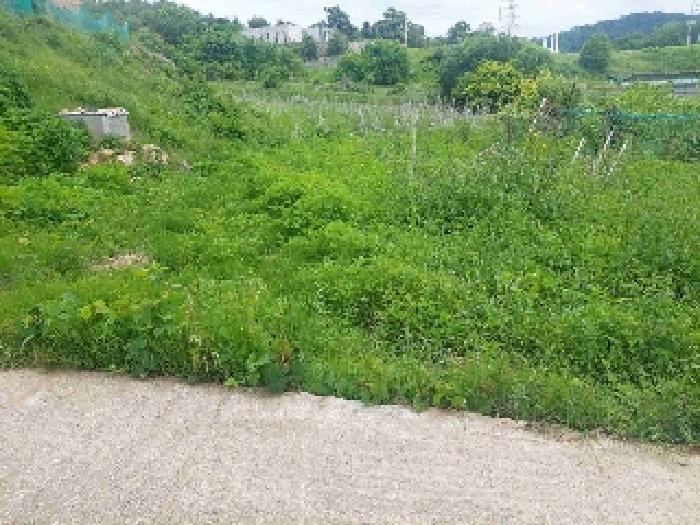 충청남도 아산시 탕정면 명암리 401 전 경매 사진 12