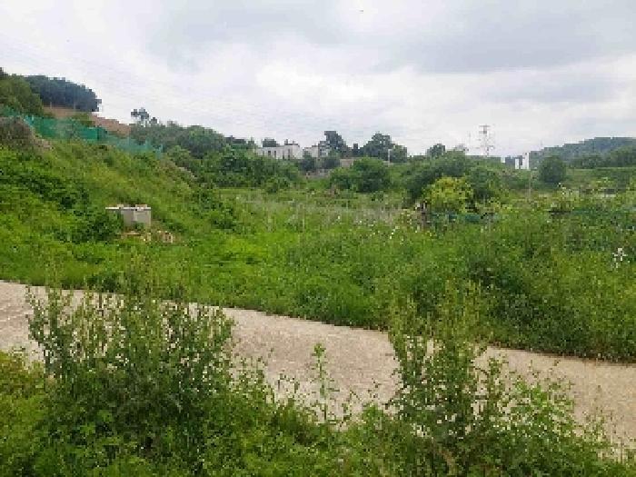 충청남도 아산시 탕정면 명암리 401 전 경매 사진 13