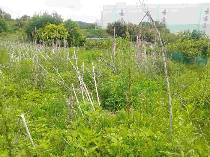 충청남도 아산시 탕정면 명암리 401 전 경매 사진 14