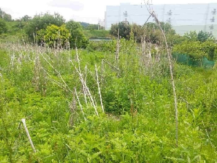 충청남도 아산시 탕정면 명암리 401 전 경매 사진 17