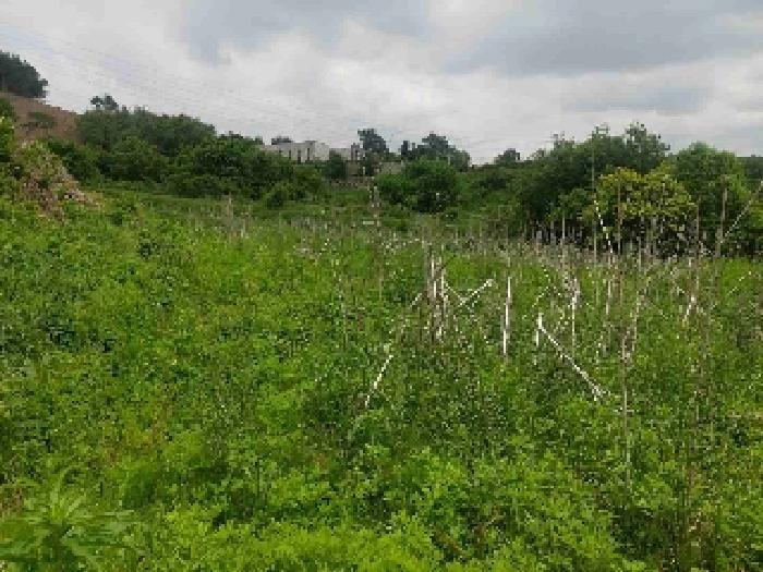충청남도 아산시 탕정면 명암리 401 전 경매 사진 19