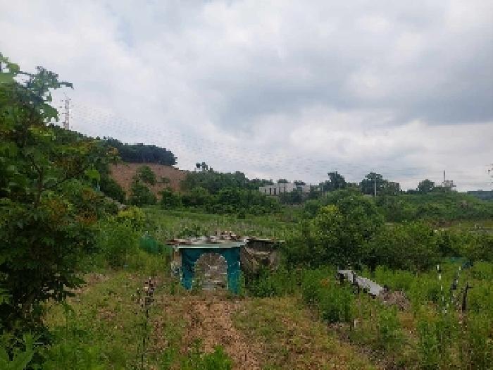 충청남도 아산시 탕정면 명암리 401 전 경매 사진 22