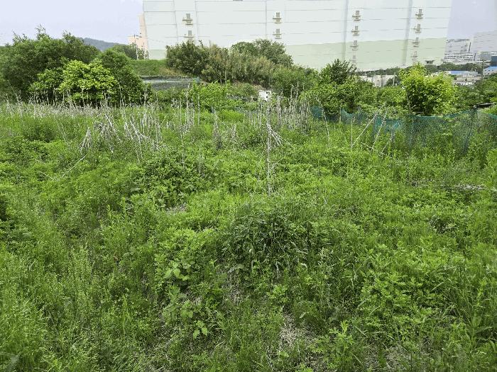 충청남도 아산시 탕정면 명암리 401 전 경매 사진 4