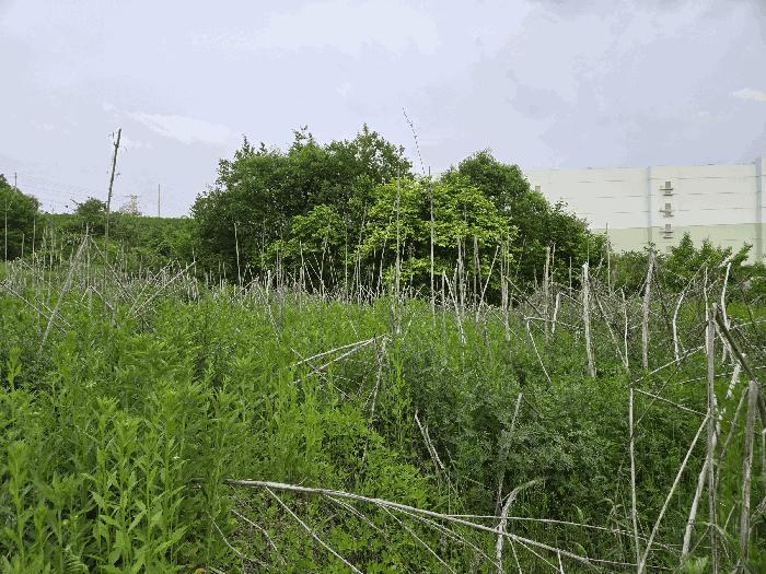 충청남도 아산시 탕정면 명암리 401 전 경매 사진 6
