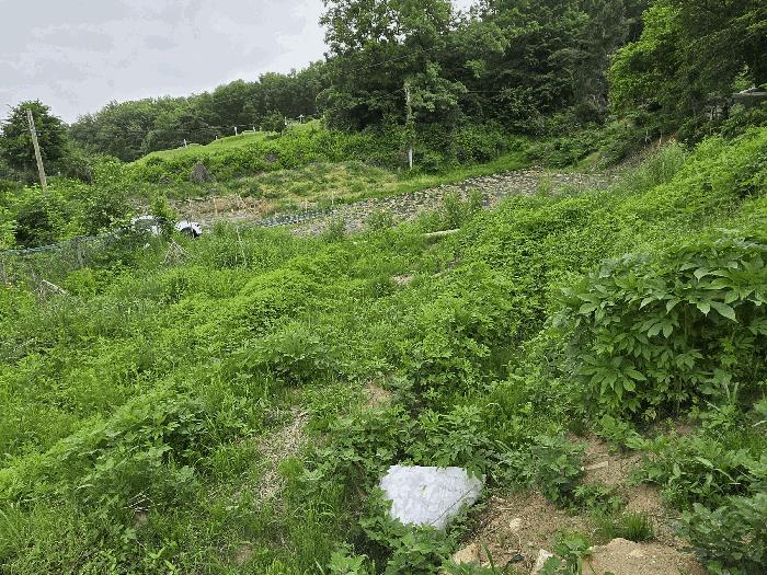 충청남도 아산시 탕정면 명암리 401 전 경매 사진 8