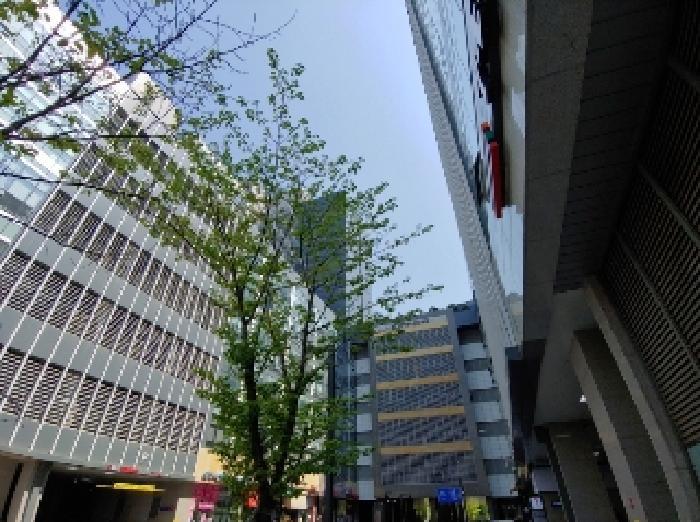 경기도 안양시 만안구 안양동 1432 안양아이에스비즈타워센트럴 지층비209호 아파트형공장 경매 사진 12