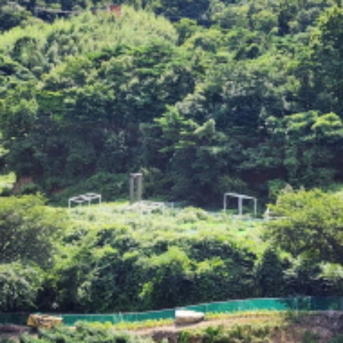 울산광역시 울주군 범서읍 중리 328 하천 경매 사진 19
