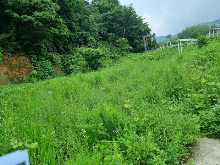 울산광역시 울주군 범서읍 중리 328 하천 경매 사진 5