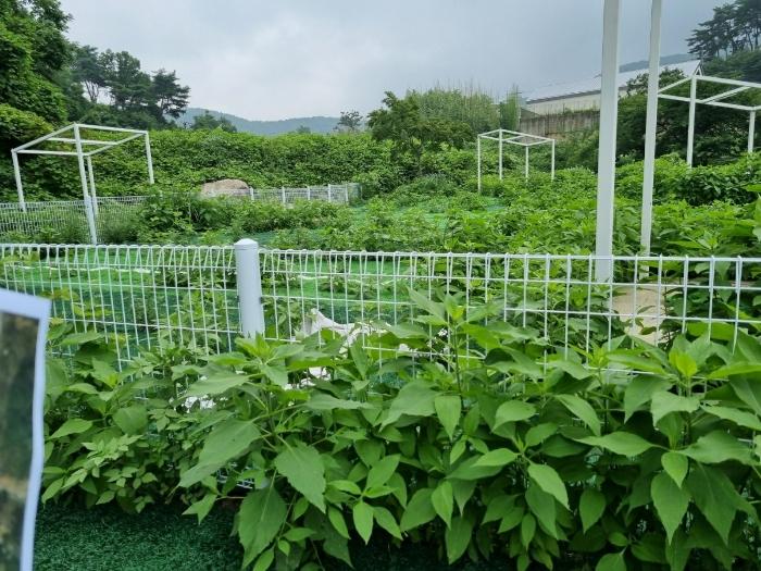 울산광역시 울주군 범서읍 중리 328 하천 경매 사진 9