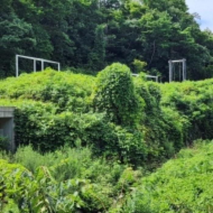 울산광역시 울주군 범서읍 중리 329-1 답 경매 사진 20