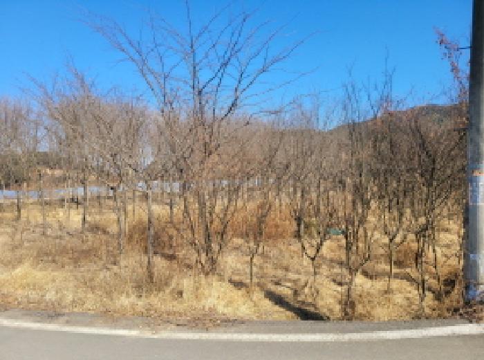 경상북도 성주군 대가면 칠봉리 1052 답 경매 사진 7