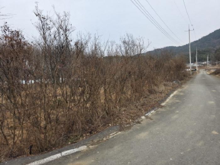 경상북도 성주군 대가면 칠봉리 1052 답 경매 사진 9