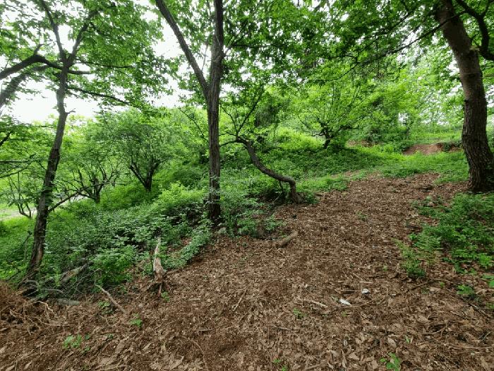 울산광역시 울주군 상북면 지내리 산73-5 임야 경매 사진 3