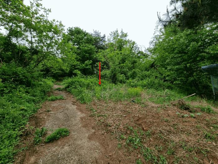 울산광역시 울주군 상북면 지내리 산73-5 임야 경매 사진 8