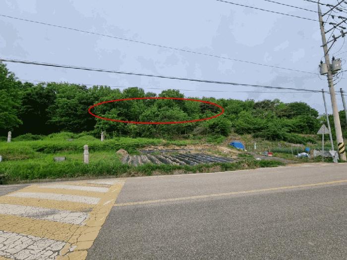 울산광역시 울주군 상북면 지내리 산81-2 임야 경매 사진 10