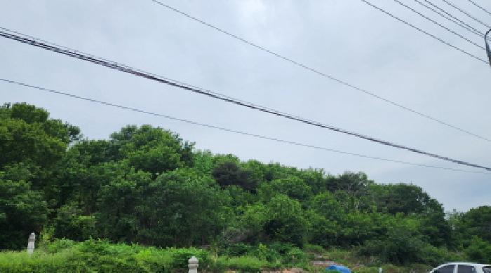 울산광역시 울주군 상북면 지내리 산81-2 임야 경매 사진 16