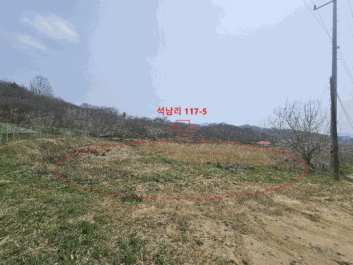 충청남도 공주시 유구읍 석남리 117-5 답 경매 사진 2